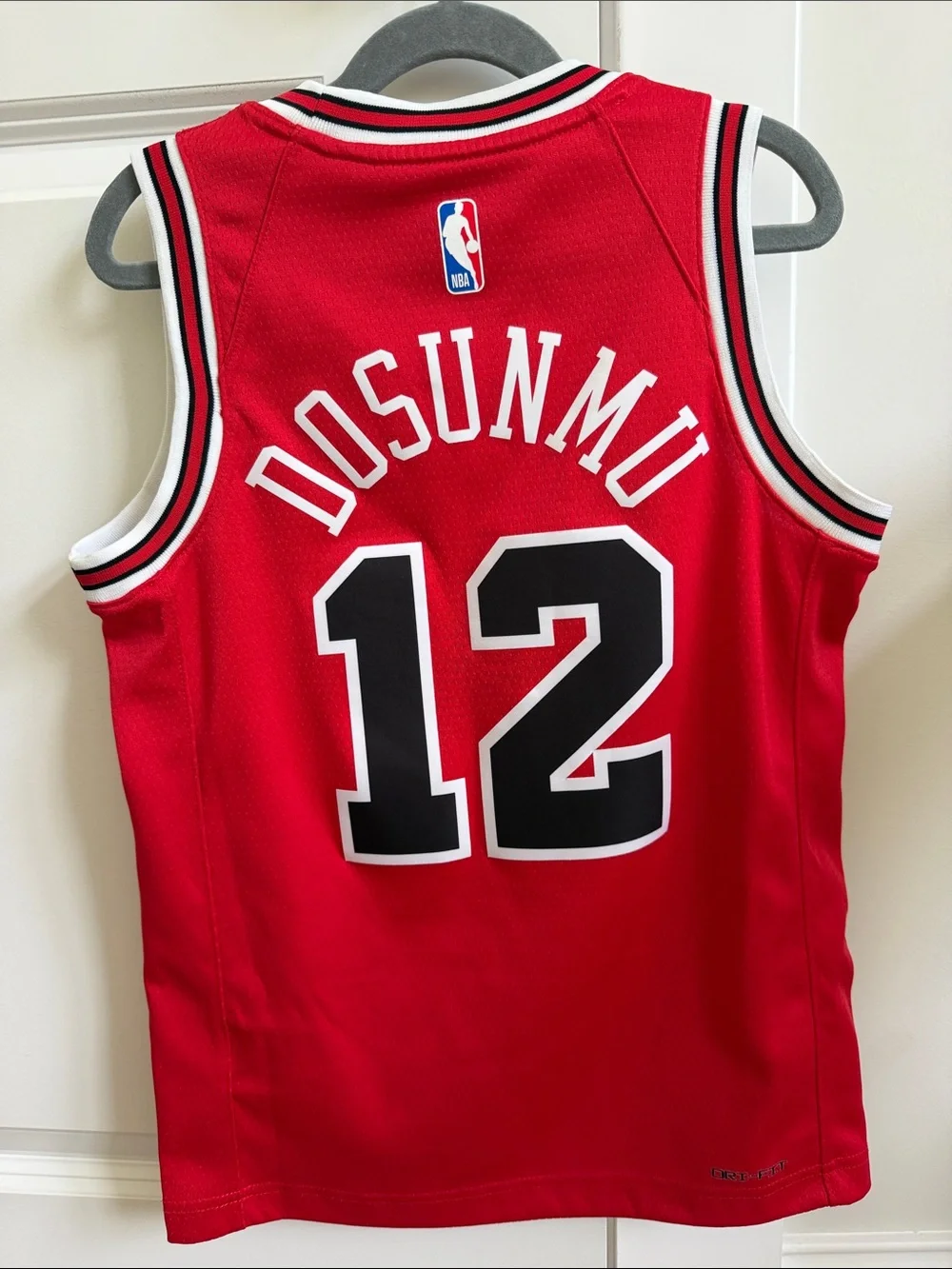Nike Kids Red Chicago Bulls #12 Dosunmu Basketball Jersey Icon